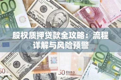 武汉股权质押贷款全攻略：流程详解与风险预警
