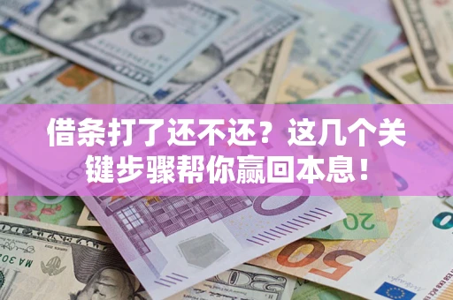 武汉借条打了还不还？这几个关键步骤帮你赢回本息！