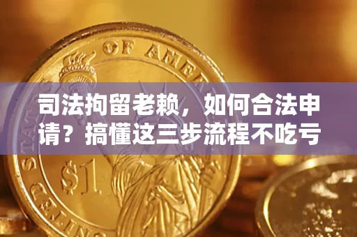 武汉司法拘留老赖，如何合法申请？搞懂这三步流程不吃亏！