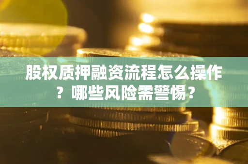 武汉股权质押融资流程怎么操作？哪些风险需警惕？