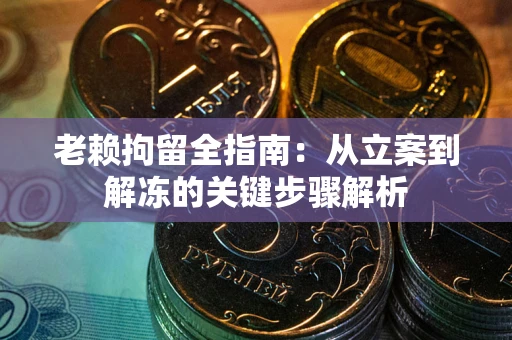 武汉老赖拘留全指南：从立案到解冻的关键步骤解析