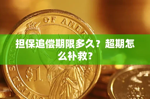 武汉担保追偿期限多久？超期怎么补救？