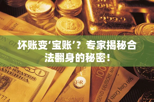 武汉坏账变‘宝账’？专家揭秘合法翻身的秘密！