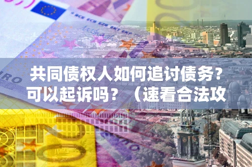 武汉共同债权人如何追讨债务？可以起诉吗？（速看合法攻略）