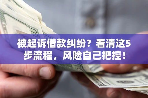 武汉被起诉借款纠纷？看清这5步流程，风险自己把控！