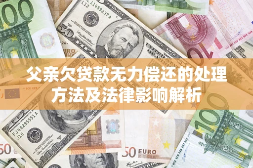 武汉父亲欠贷款无力偿还的处理方法及法律影响解析