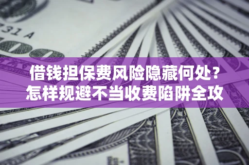 武汉借钱担保费风险隐藏何处？怎样规避不当收费陷阱全攻略！
