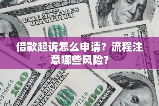 武汉借款起诉怎么申请？流程注意哪些风险？