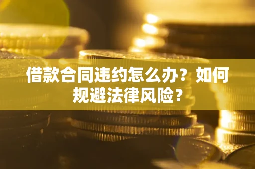 武汉借款合同违约怎么办？如何规避法律风险？